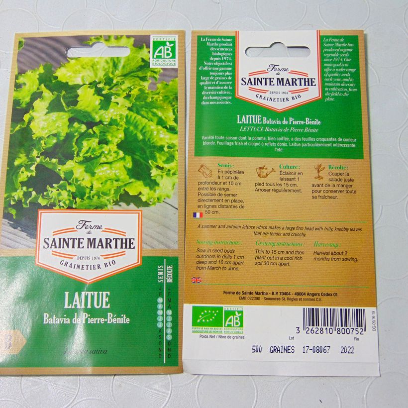Example of Iceberg Lettuce De Pierre Bénite - Ferme de Sainte Marthe seeds per pack of 500 seeds (3g) specimen as delivered