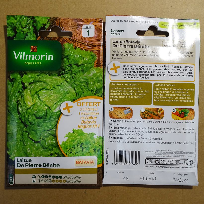 Example of Iceberg Lettuce De Pierre Bénite - Vilmorin seeds per pack of 3200 seeds (4g) specimen as delivered