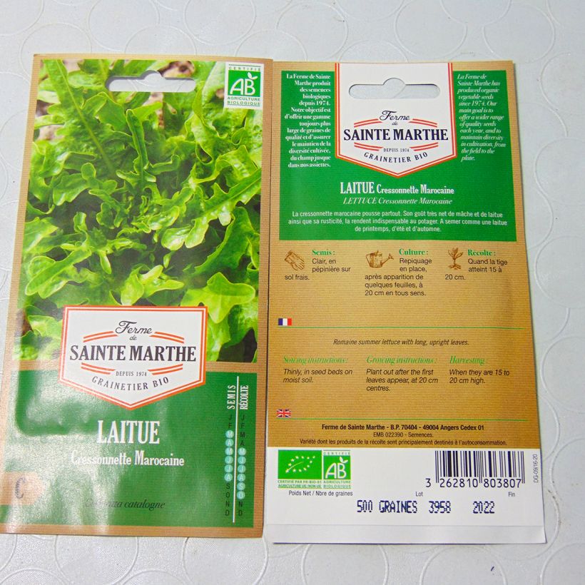 Example of Catalogna Lettuce (Radichetta) - Ferme de Sainte Marthe seeds specimen as delivered