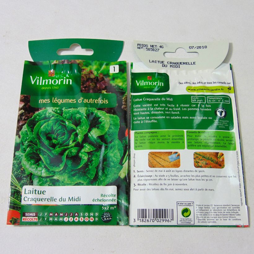 Example of Romaine Lettuce Craquerelle du Midi - Vilmorin seeds per pack of 3200 seeds (4g) specimen as delivered