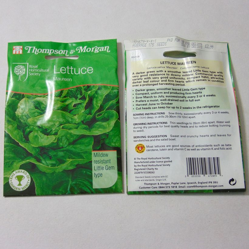 Example of Cos Lettuce Maureen - Lactuca sativa per pack of 175 seeds specimen as delivered