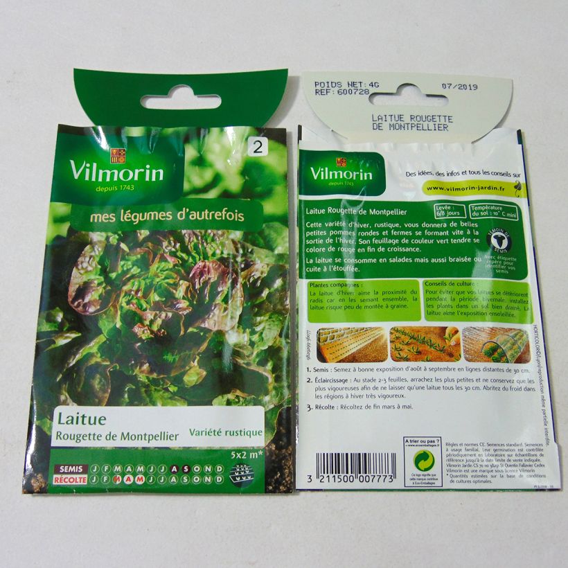 Example of Butterhead lettuce Rougette de Montpellier - Vilmorin Seeds per pack of 3200 seeds (4g) specimen as delivered