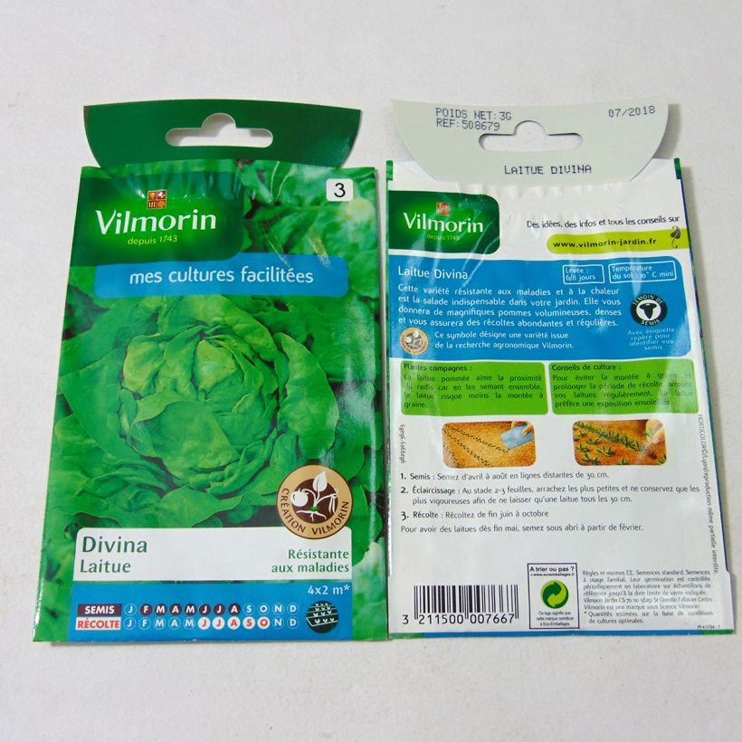 Example of Butterhead Lettuce Divina - Vilmorin creation seeds per pack of 2400 seeds (3g) specimen as delivered