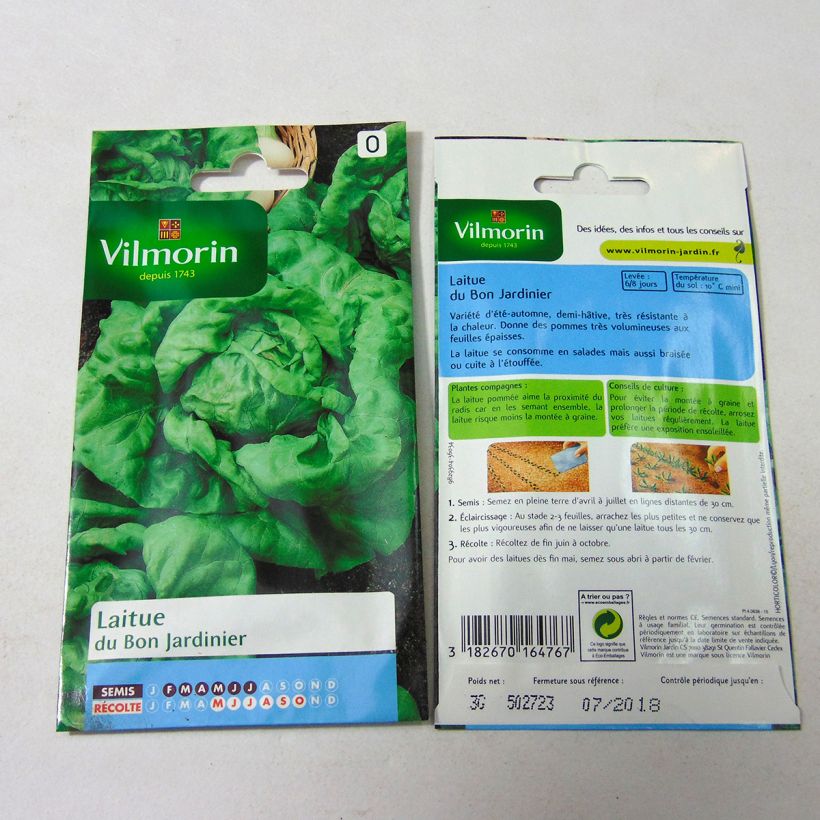 Example of Butterhead Lettuce du Bon Jardinier - Vilmorin Seeds per pack of 2400 seeds (3g) specimen as delivered