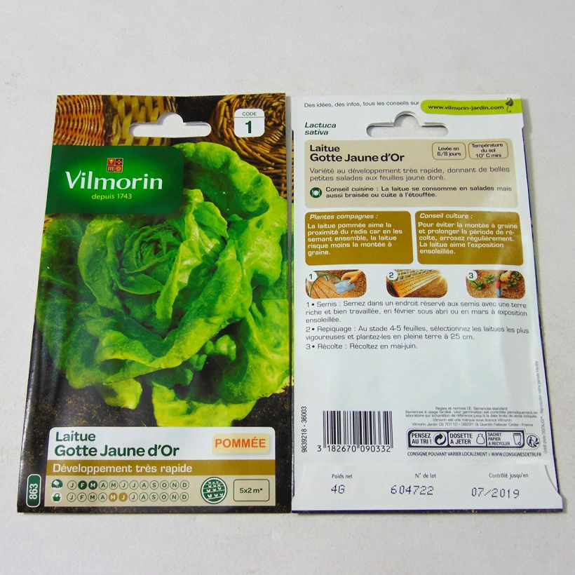 Example of Butterhead Lettuce Gotte Jaune - Lactuca sativa per pack of 3200 seeds (4g) specimen as delivered