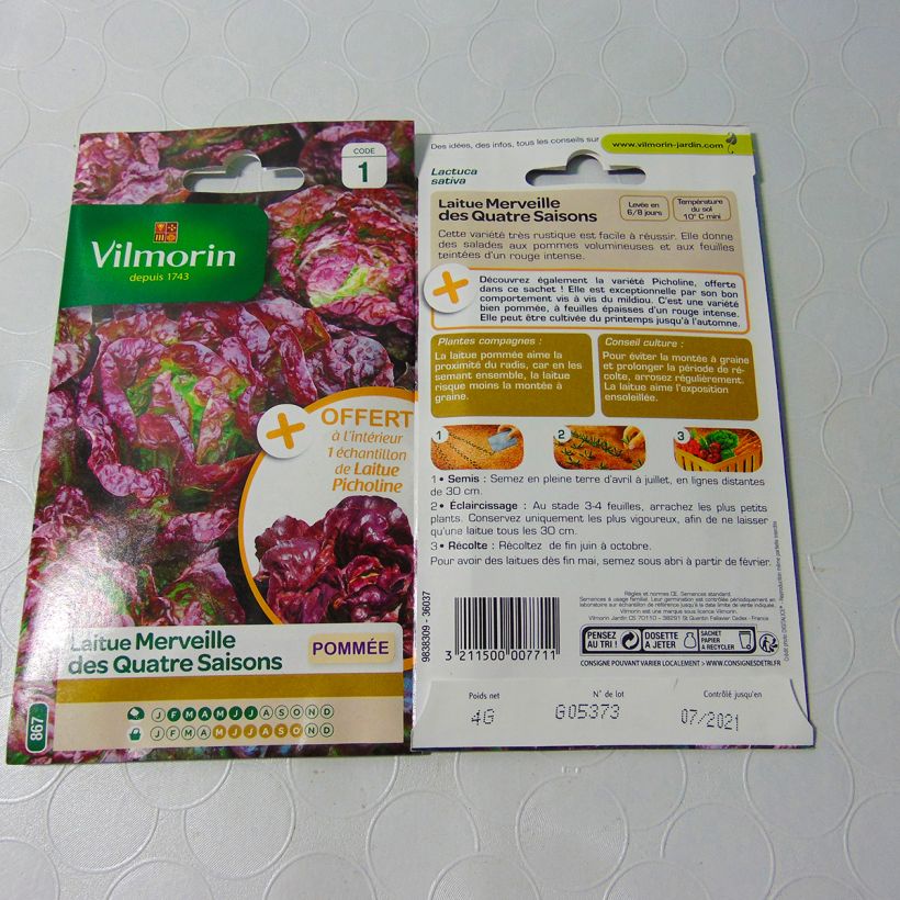 Example of Butterhead Lettuce Marvel of Four Seasons + sample Flame - Vilmorin Seeds per pack of 3200 seeds (4g) specimen as delivered