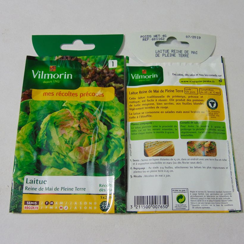 Example of Butterhead Lettuce May Queen - Vilmorin Seeds per pack of 3200 seeds (4g) specimen as delivered