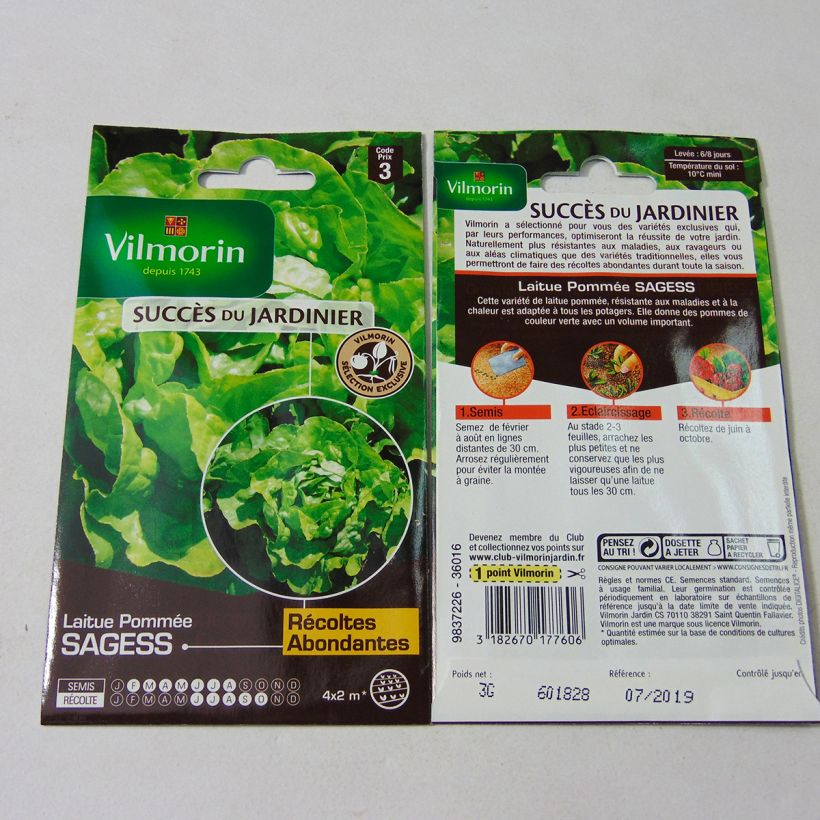 Example of Butterhead Lettuce Sagess - Vilmorin Seeds creation per pack of 2400 seeds (3g) specimen as delivered
