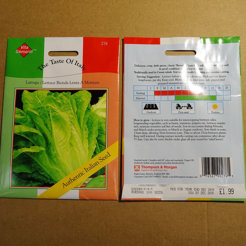 Example of Romaine Lettuce Bionda Lenta a Montare - Lactuca sativa per pack of 4800 seeds specimen as delivered