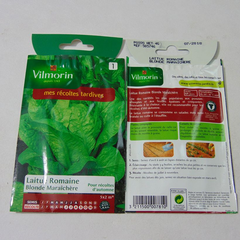 Example of Lactuca sativa 'Romaine Blonde Maraîchère' per pack of 3200 seeds (4g) specimen as delivered
