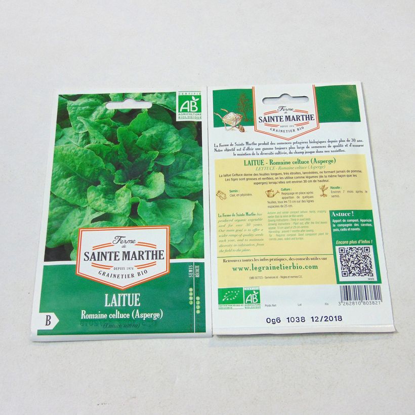 Example of Celtuce - Ferme de Sainte Marthe seeds per pack of 400 seeds specimen as delivered