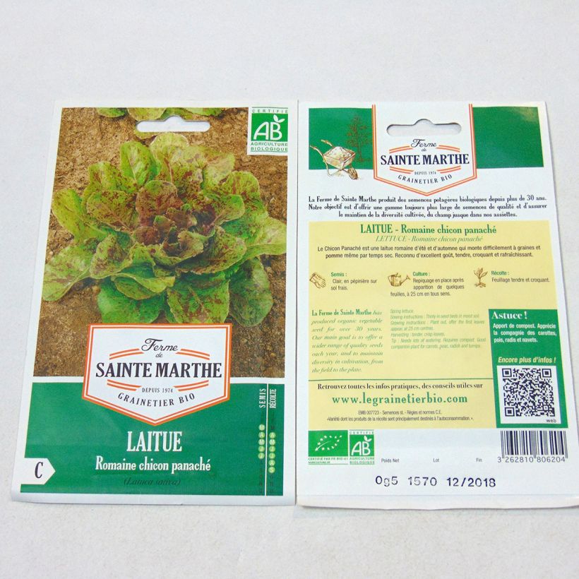 Example of Romaine Lettuce Chicon Panaché - Ferme de Sainte Marthe seeds per pack of 450 seeds specimen as delivered