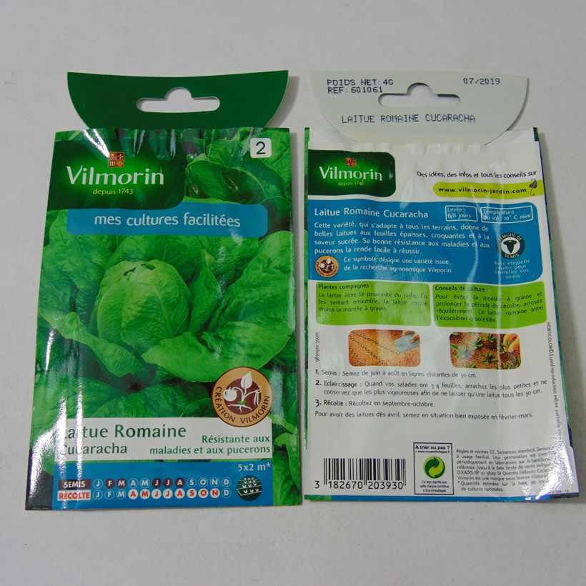 Example of Romaine Lettuce Cucaracha - Vilmorin seeds - Lactuca sativa per pack of 3200 seeds (4g) specimen as delivered
