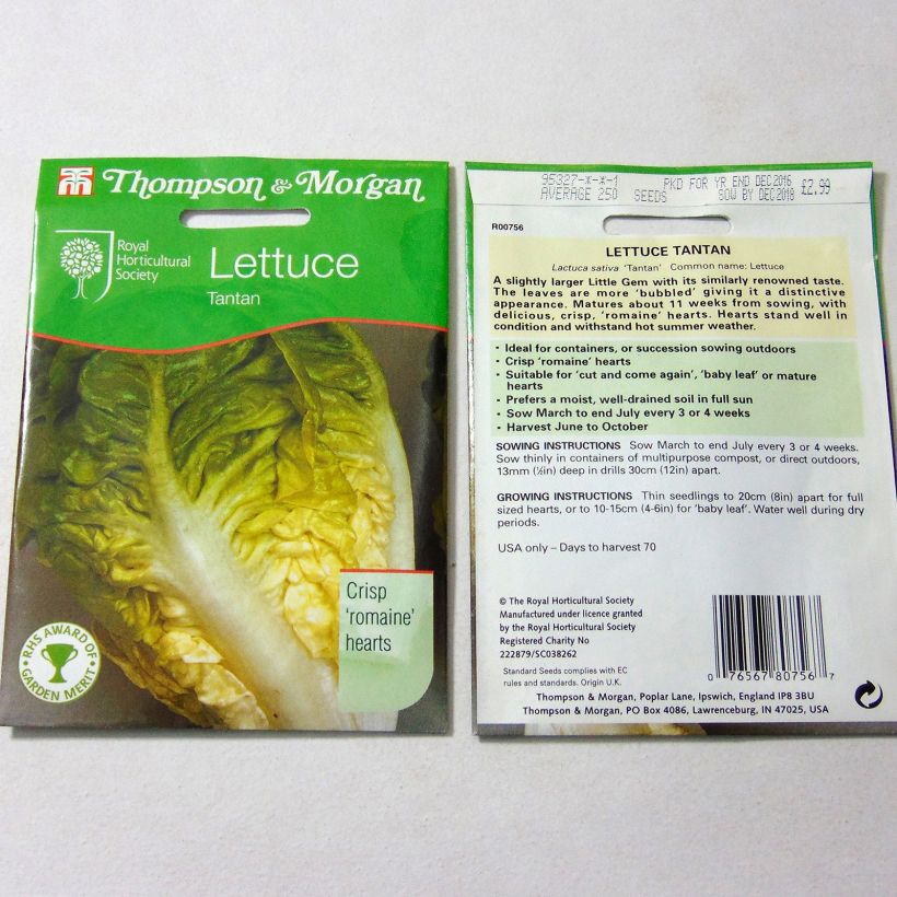 Example of Romaine Lettuce Tantan - Lactuca sativa per pack of 250 seeds specimen as delivered