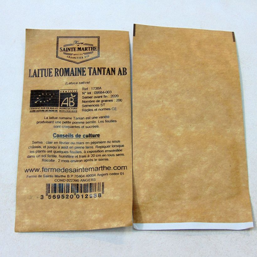 Example of Organic Romaine Lettuce Tantan - Lactuca sativa per pack of 200 seeds specimen as delivered