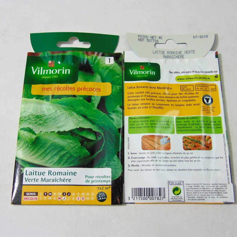 Example of Cos Lettuce Verte Maraichère - Vilmorin seeds - Lactuca sativa per pack of 3200 seeds (4g) specimen as delivered