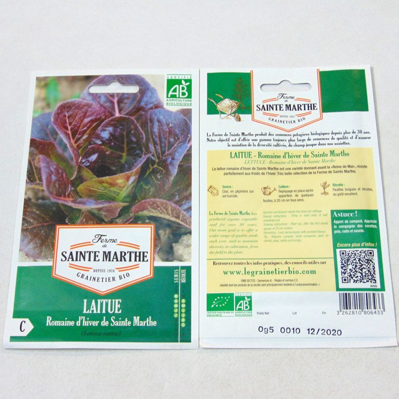 Example of Romaine Lettuce dHiver de Sainte Marthe - Ferme de Sainte Marthe seeds per pack of 350 seeds specimen as delivered