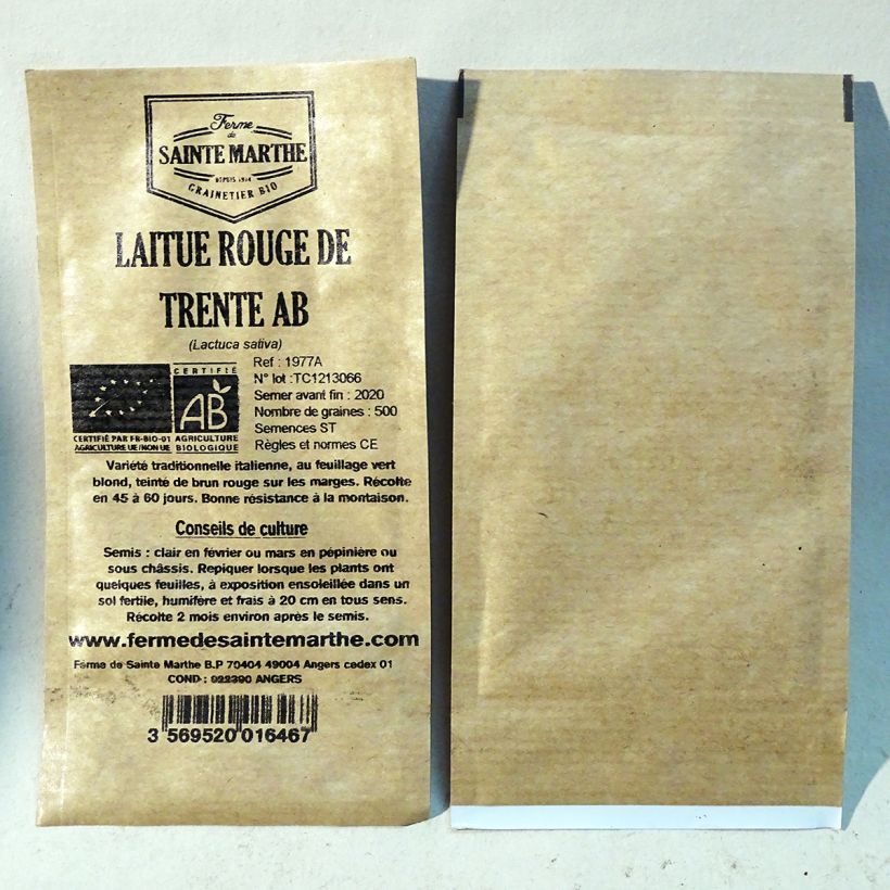 Example of Lettuce Rossa di Trento - Ferme de Sainte Marthe seeds per pack of 500 seeds specimen as delivered