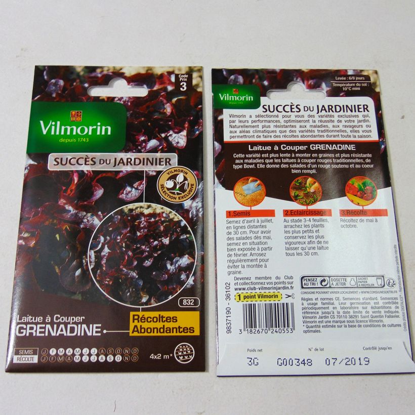 Example of Loose leaf Lettuce Grenadine - Oak leaf - Vilmorin seeds creation per pack of 3000 seeds (3g) specimen as delivered
