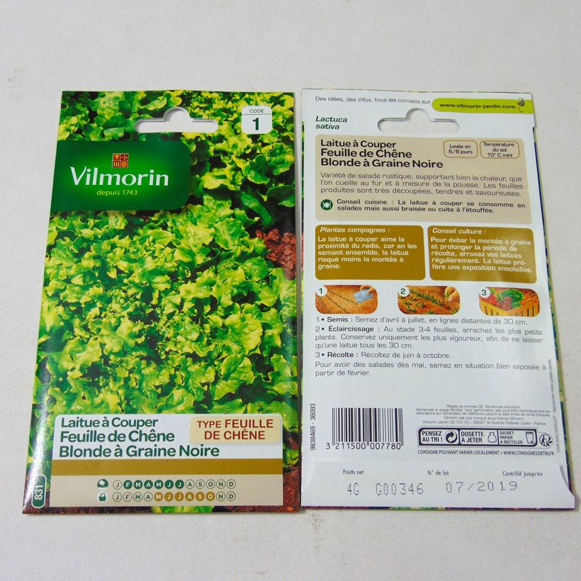 Example of Loose leaf Lettuce Black Seeded Simpson - Vilmorin seeds per pack of 4000 seeds (4g) specimen as delivered