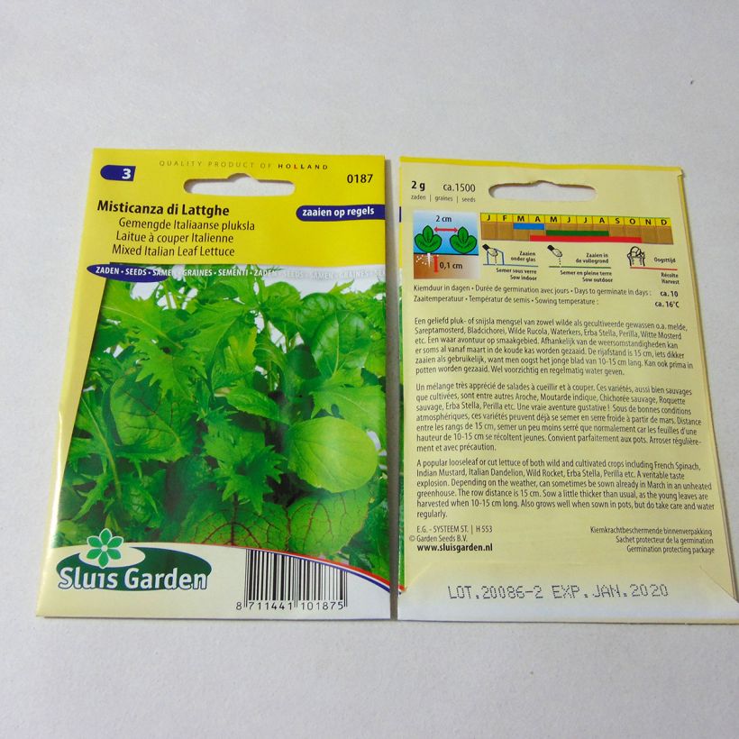 Example of Loose leaf Lettuce Misticanza di Lattghe - Italian salad mix per pack of 1500 seeds (2g) specimen as delivered