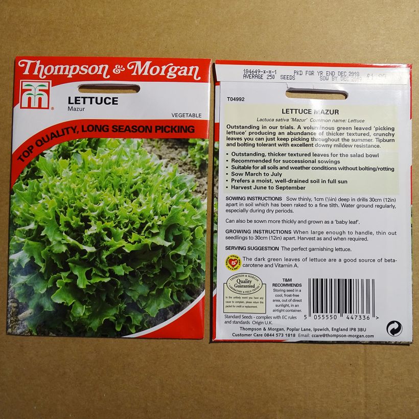 Example of Lettuce Mazur - Lactuca sativa specimen as delivered
