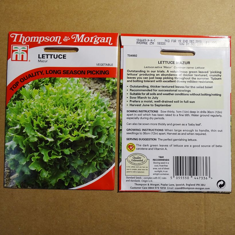 Example of Lettuce Mazur - Lactuca sativa per pack of 250 seeds specimen as delivered