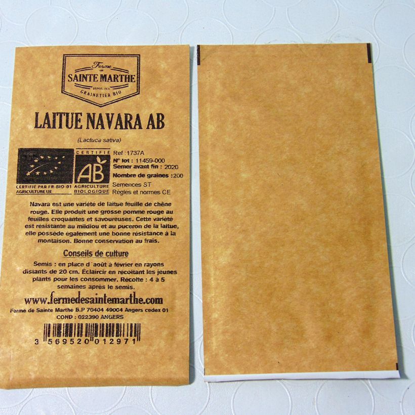 Example of Organic Lettuce Navara - Ferme de Sainte Marthe seeds - Lactuca sativa per pack of 200 seeds specimen as delivered