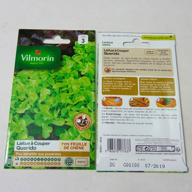 Example of Loose leaf Lettuce Querido - Vilmorin seeds creation per pack of 1600 seeds (2g) specimen as delivered
