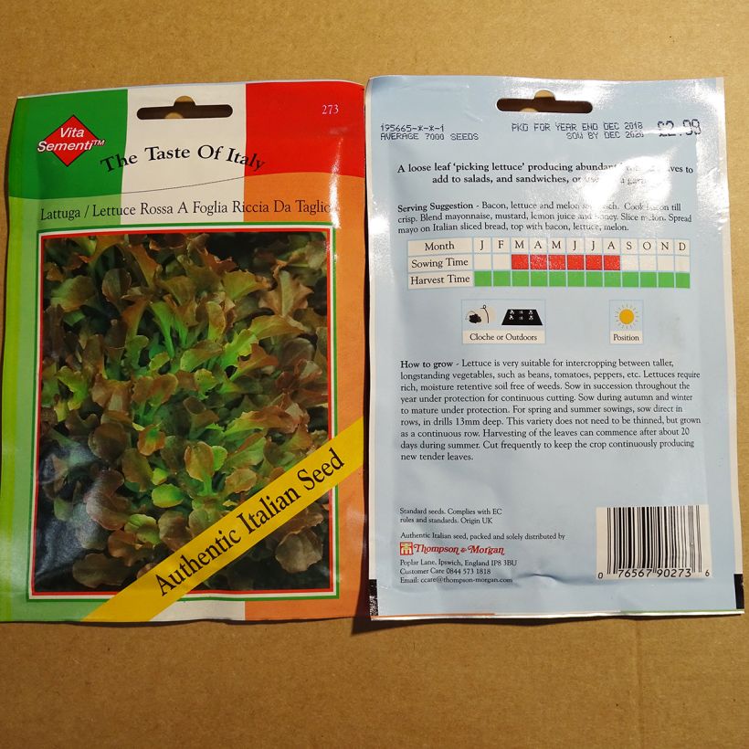 Example of Lettuce Riccia Rossa da Taglio - Lactuca sativa per pack of 7000 seeds specimen as delivered