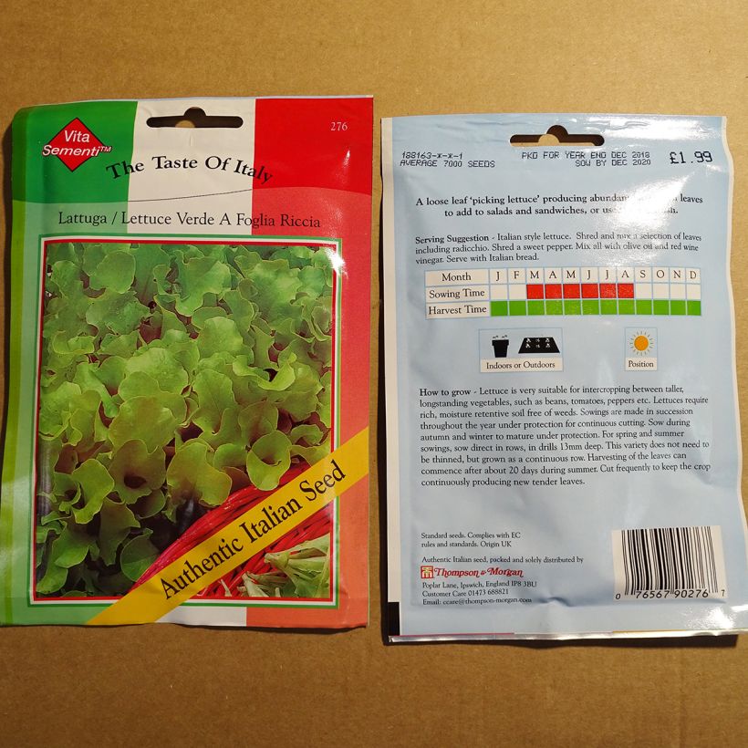 Example of Lettuce Riccia Verde da Taglio - Lactuca sativa per pack of 7000 seeds specimen as delivered
