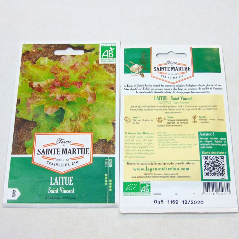 Example of Loose leaf Lettuce Saint Vincent - Ferme de Sainte Marthe seeds per pack of 400 seeds specimen as delivered