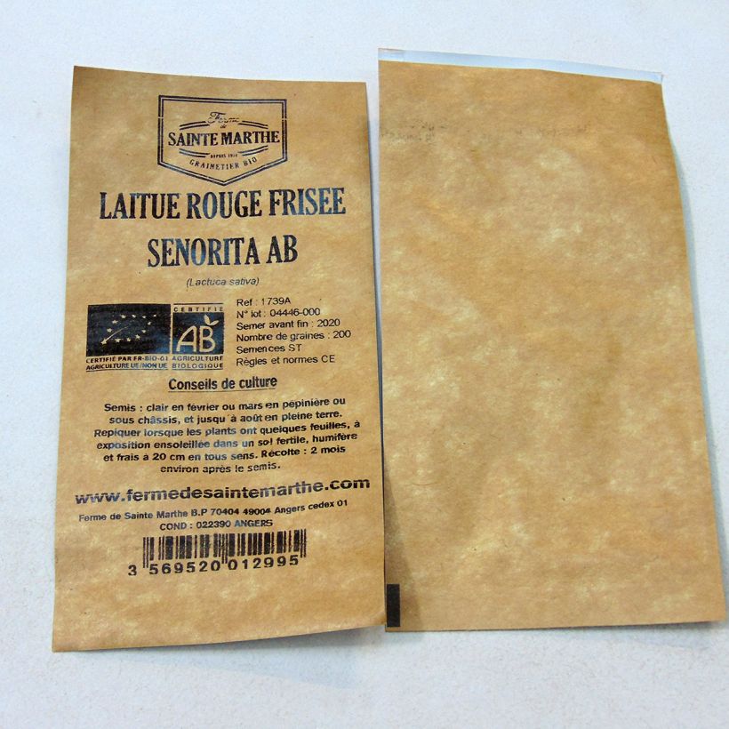 Example of Loose leaf Lettuce Senorita - Ferme de Sainte Marthe seeds per pack of 200 seeds specimen as delivered