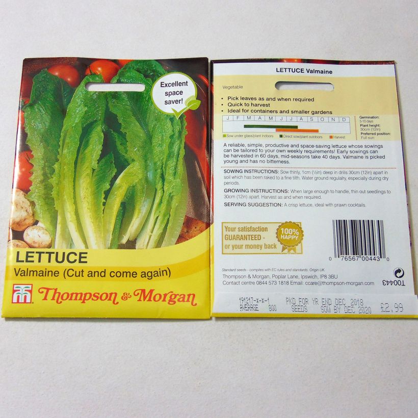 Example of Loose leaf Lettuce Valmaine per pack of 800 seeds specimen as delivered