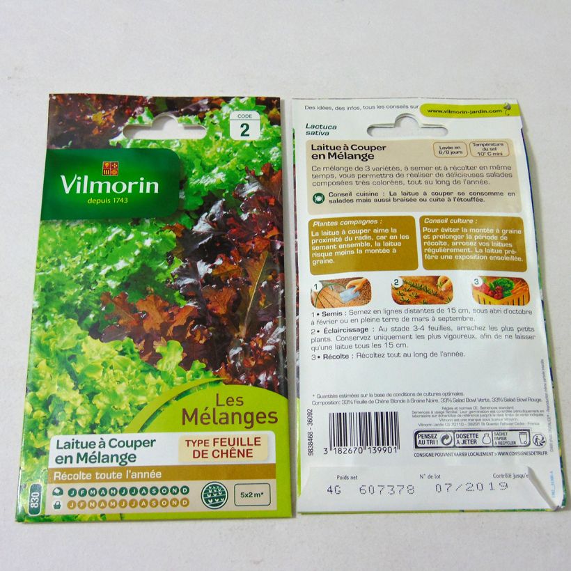 Example of Loose leaf Lettuce mix - Green and Red Salad Bowl - Vilmorin seeds per pack of 4000 seeds (4g) specimen as delivered
