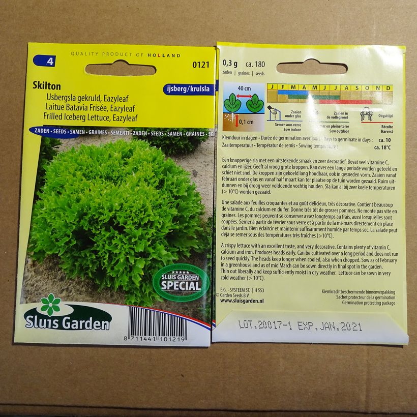 Example of Frilled Iceberg Lettuce Eazyleaf Skilton - Batavia per pack of 180 seeds (0.3g) specimen as delivered