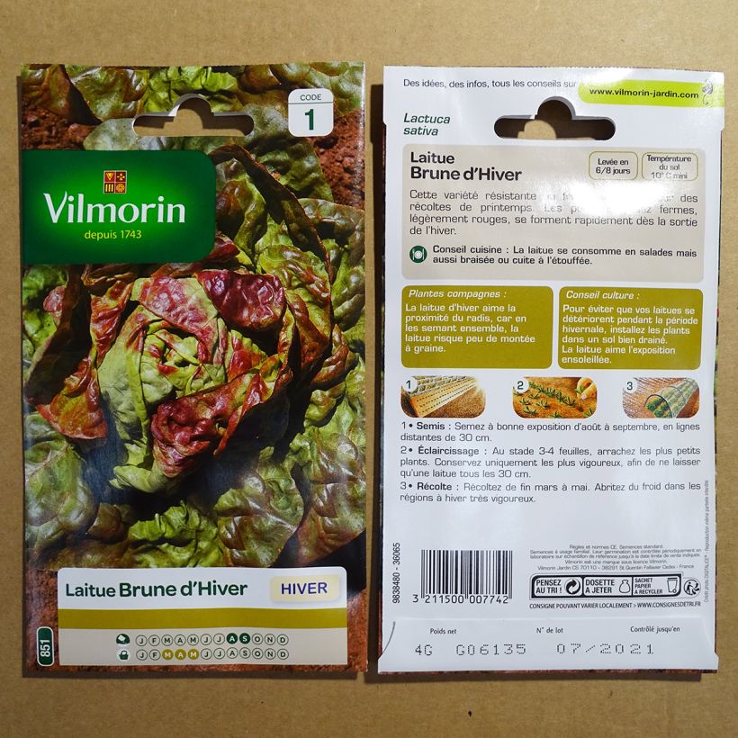 Example of Winter Lettuce Brune dHiver - Vilmorin seeds per pack of 3200 seeds (4g) specimen as delivered