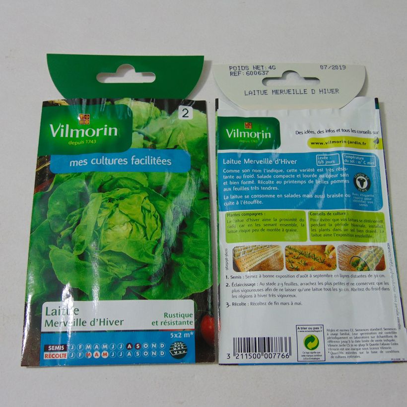 Example of Butterhead Lettuce Winter Marvel - Vilmorin seeds per pack of 3200 seeds (4g) specimen as delivered