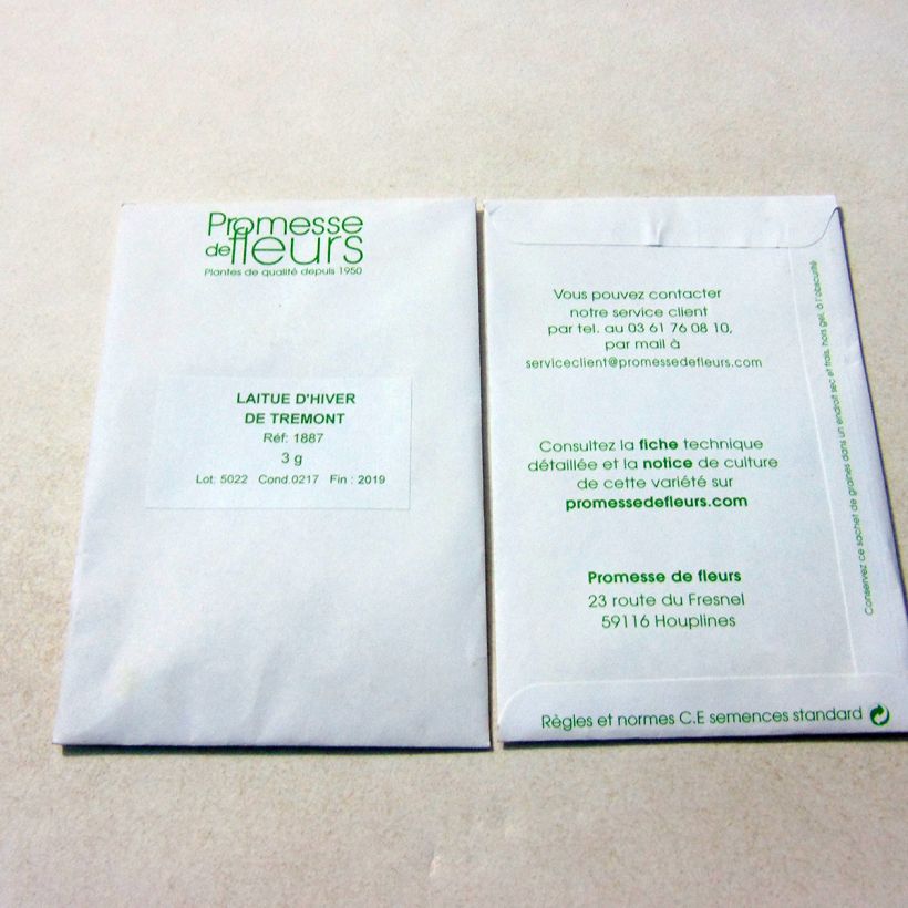 Example of Winter Lettuce Trémont Passion Blonde per pack of 2500 seeds (3g) specimen as delivered