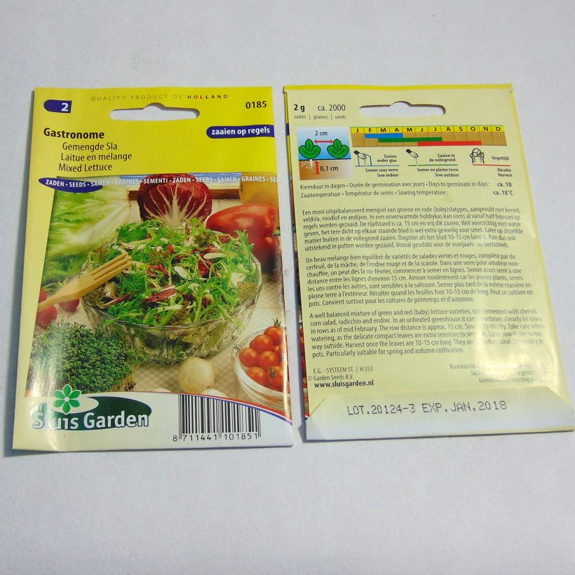 Example of Lettuce Gourmet mix - Lactuca sativa per pack of 2000 seeds (2g) specimen as delivered