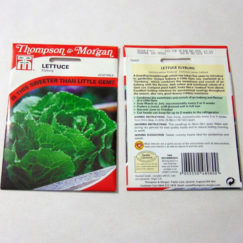 Example of Lettuce Elyburg - Lactuca sativa per pack of 200 seeds specimen as delivered