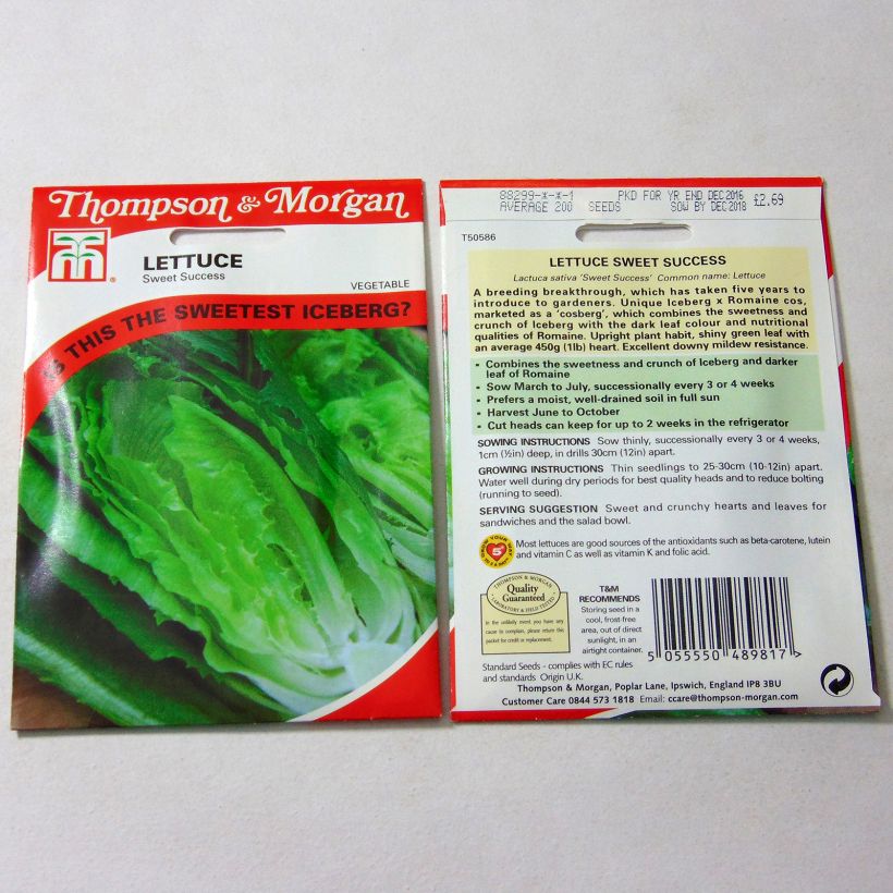 Example of Sweet Success hybrid lettuce per pack of 200 seeds specimen as delivered