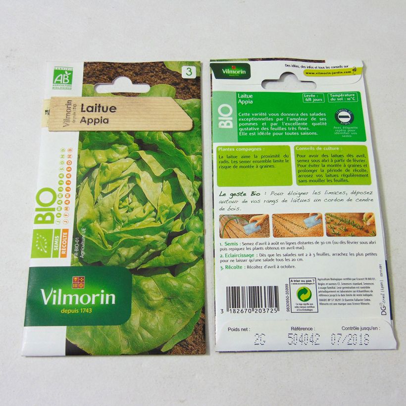Example of Organic Butterhead Lettuce Appia - Vilmorin seeds - Lactuca sativa per pack of 1600 seeds (2g) specimen as delivered
