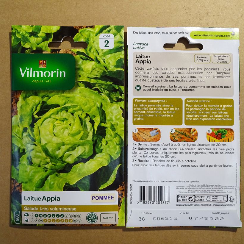 Example of Butterhead lettuce Appia - Vilmorin seeds per pack of 2400 seeds (3g) specimen as delivered