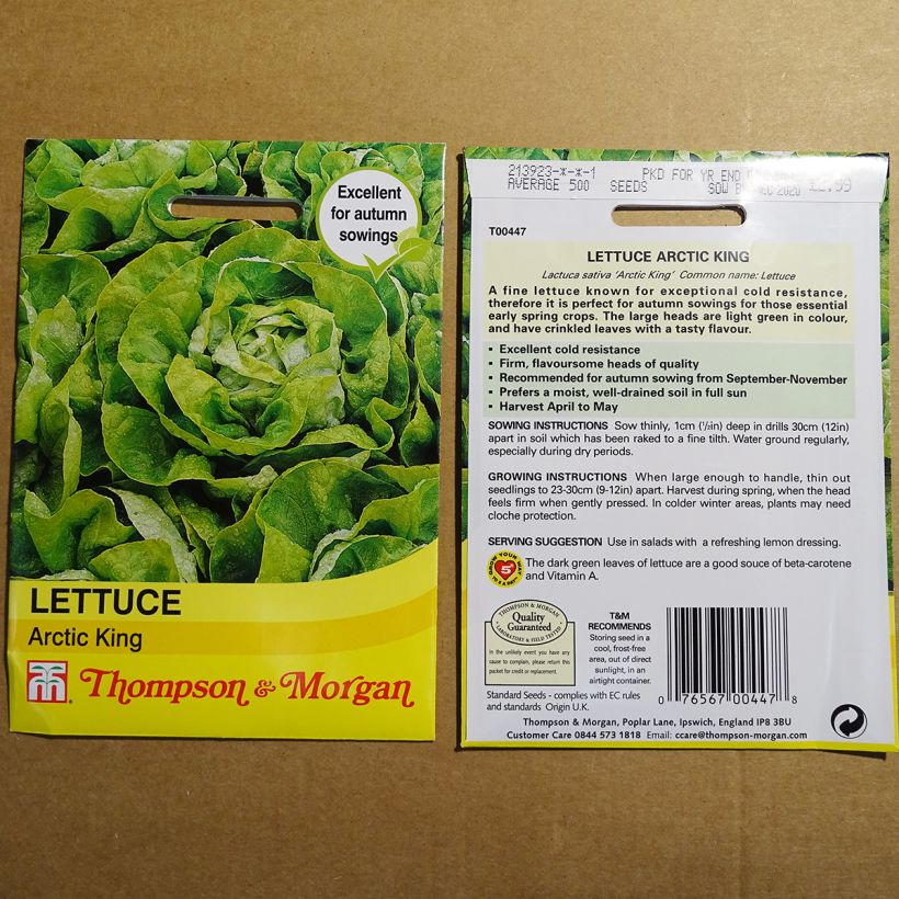 Example of Butterhead Lettuce Artic King - Lactuca sativa per pack of 1750 seeds specimen as delivered