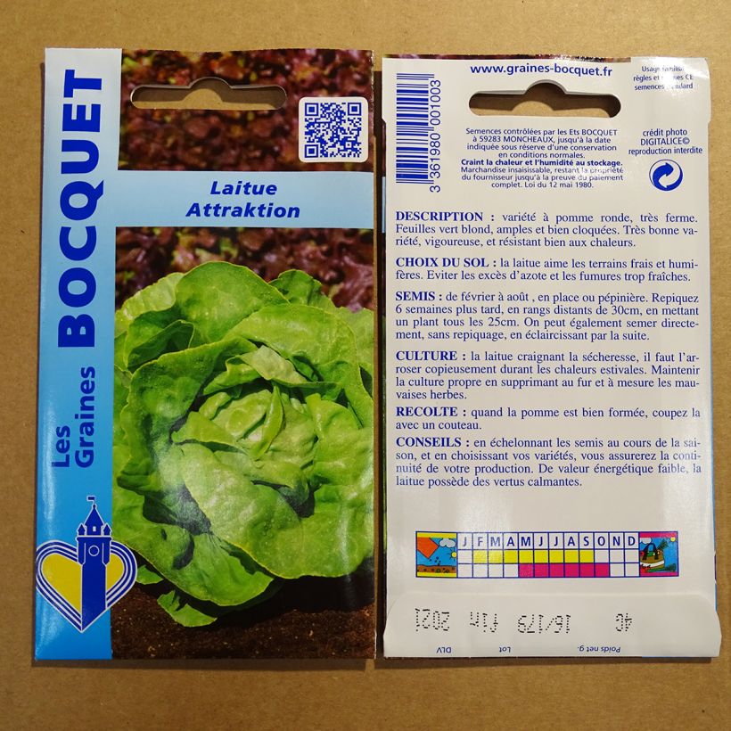 Example of Butterhead Lettuce Attraction per pack of 3200 seeds (4g) specimen as delivered