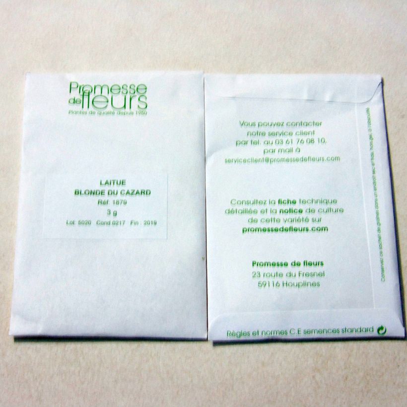 Example of Butterhead Lettuce Blonde du Cazard - Lactuca sativa per pack of 2500 seeds (3g) specimen as delivered