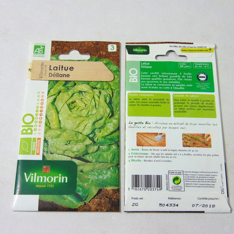 Example of Lettuce Deliane - Lactuca sativa per pack of 1600 seeds (2g) specimen as delivered