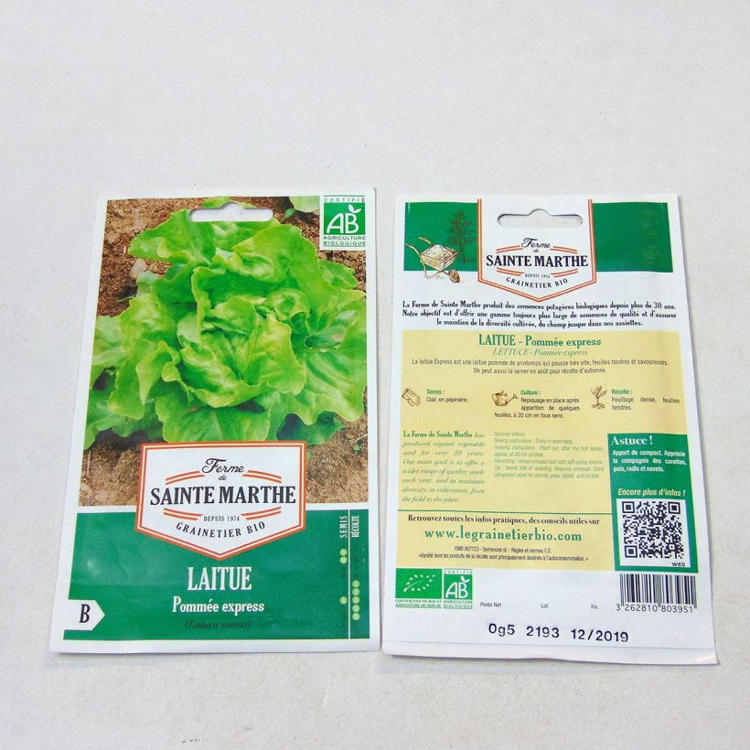 Example of Butterhead Lettuce Express - Ferme de Sainthe Marthe per pack of 500 seeds specimen as delivered
