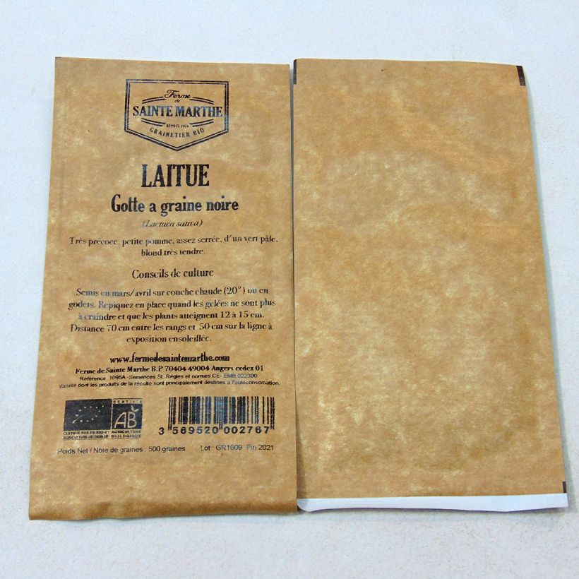 Example of Butterhead Lettuce Black seeded Gotte - Ferme de Sainte Marthe seeds per pack of 500 seeds specimen as delivered